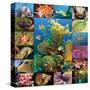 Aquatic Collage-Encyclopaedia Britannica-Stretched Canvas