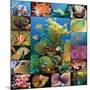 Aquatic Collage-Encyclopaedia Britannica-Mounted Art Print