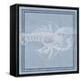 Aquatic Creature II-Regina Moore-Framed Stretched Canvas