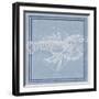 Aquatic Creature II-Regina Moore-Framed Art Print