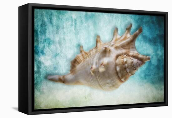 Aquatic Dreams I-George Oze-Framed Stretched Canvas