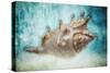 Aquatic Dreams I-George Oze-Stretched Canvas