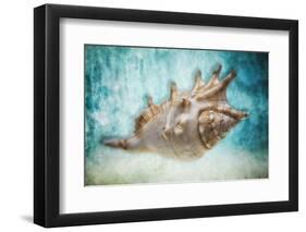 Aquatic Dreams I-George Oze-Framed Photographic Print