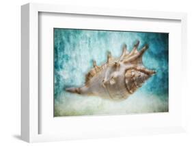 Aquatic Dreams I-George Oze-Framed Photographic Print