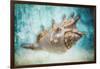 Aquatic Dreams I-George Oze-Framed Photographic Print