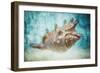Aquatic Dreams I-George Oze-Framed Photographic Print