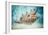 Aquatic Dreams I-George Oze-Framed Photographic Print