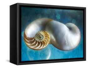 Aquatic Dreams II-George Oze-Framed Stretched Canvas