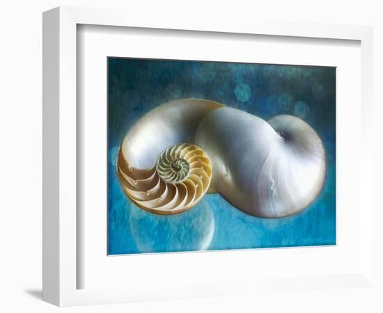 Aquatic Dreams II-George Oze-Framed Photographic Print