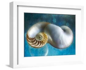 Aquatic Dreams II-George Oze-Framed Photographic Print