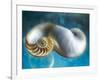 Aquatic Dreams II-George Oze-Framed Photographic Print