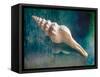 Aquatic Dreams IIi-George Oze-Framed Stretched Canvas