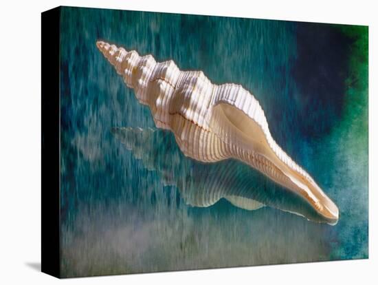 Aquatic Dreams IIi-George Oze-Stretched Canvas
