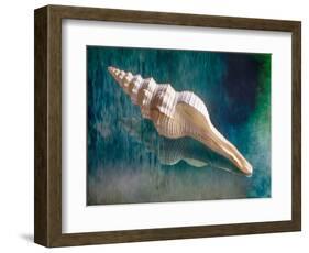 Aquatic Dreams IIi-George Oze-Framed Photographic Print