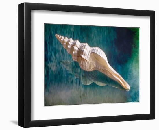 Aquatic Dreams IIi-George Oze-Framed Photographic Print