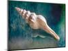 Aquatic Dreams IIi-George Oze-Mounted Photographic Print