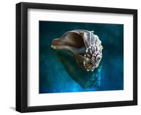 Aquatic Dreams IV-George Oze-Framed Photographic Print