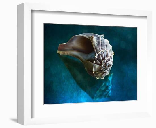 Aquatic Dreams IV-George Oze-Framed Photographic Print