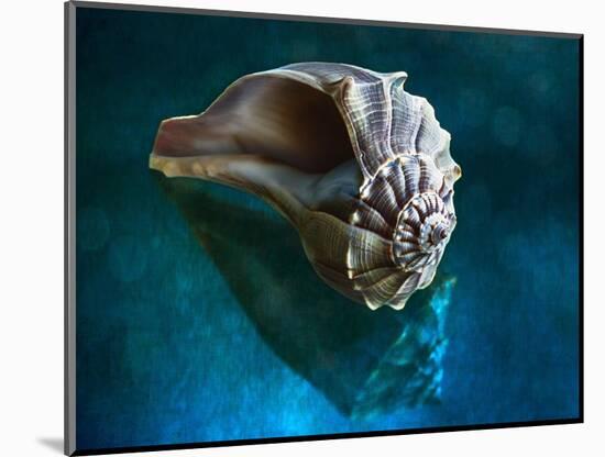 Aquatic Dreams IV-George Oze-Mounted Photographic Print