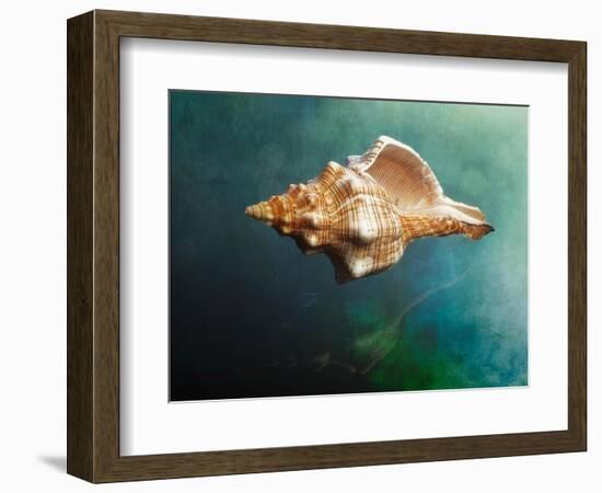 Aquatic Dreams V-George Oze-Framed Photographic Print