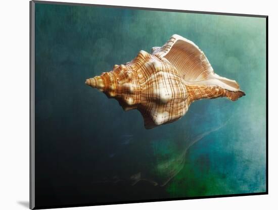 Aquatic Dreams V-George Oze-Mounted Photographic Print