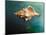 Aquatic Dreams V-George Oze-Mounted Photographic Print