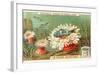 Aquatic Fauna, Sea Anemones-null-Framed Art Print