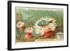 Aquatic Fauna, Sea Anemones-null-Framed Art Print