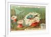 Aquatic Fauna, Sea Anemones-null-Framed Premium Giclee Print