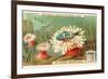 Aquatic Fauna, Sea Anemones-null-Framed Premium Giclee Print