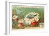 Aquatic Fauna, Sea Anemones-null-Framed Art Print