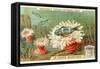 Aquatic Fauna, Sea Anemones-null-Framed Stretched Canvas