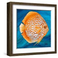 Aquatic Life I (Vibrant Sea Life II)-Patricia Pinto-Framed Art Print