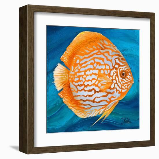 Aquatic Life I (Vibrant Sea Life II)-Patricia Pinto-Framed Art Print