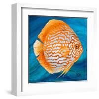 Aquatic Life I (Vibrant Sea Life II)-Patricia Pinto-Framed Art Print