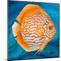 Aquatic Life I (Vibrant Sea Life II)-Patricia Pinto-Mounted Art Print