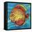 Aquatic Life II (Vibrant Sea Life IV)-Patricia Pinto-Framed Stretched Canvas