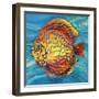 Aquatic Life II (Vibrant Sea Life IV)-Patricia Pinto-Framed Art Print