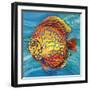 Aquatic Life II (Vibrant Sea Life IV)-Patricia Pinto-Framed Art Print