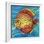 Aquatic Life II (Vibrant Sea Life IV)-Patricia Pinto-Framed Art Print