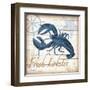 Aquatic Life II-Todd Williams-Framed Art Print