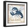 Aquatic Life II-Todd Williams-Framed Art Print