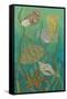 Aquatic Life II-Chariklia Zarris-Framed Stretched Canvas