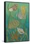 Aquatic Life II-Chariklia Zarris-Framed Stretched Canvas