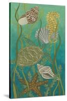 Aquatic Life II-Chariklia Zarris-Stretched Canvas