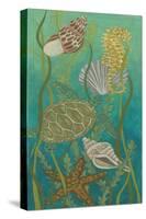 Aquatic Life II-Chariklia Zarris-Stretched Canvas