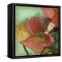 Aquatic Poppies I-Jennifer Goldberger-Framed Stretched Canvas