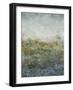 Aquatic Range II-Tim OToole-Framed Art Print