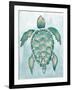 Aquatic Turtle I-Elizabeth Medley-Framed Art Print