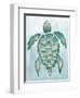 Aquatic Turtle I-Elizabeth Medley-Framed Art Print